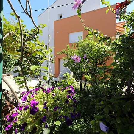 Apartments Ivanov Ζαντάρ Εξωτερικό φωτογραφία