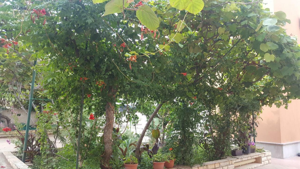 Apartments Ivanov Ζαντάρ Εξωτερικό φωτογραφία
